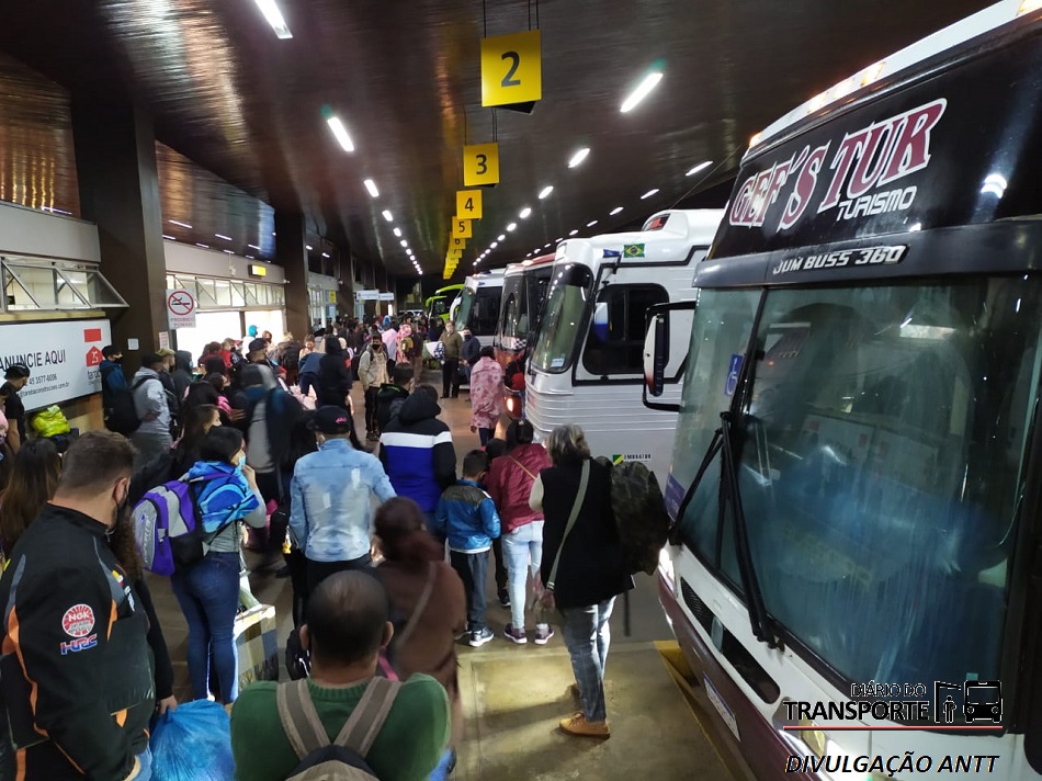 Operação da ANTT contra transporte clandestino no Paraná apreende 11 veículos