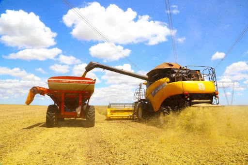 Paraná deve produzir 25,3 milhões de toneladas de grãos na safra de verão, aponta Deral