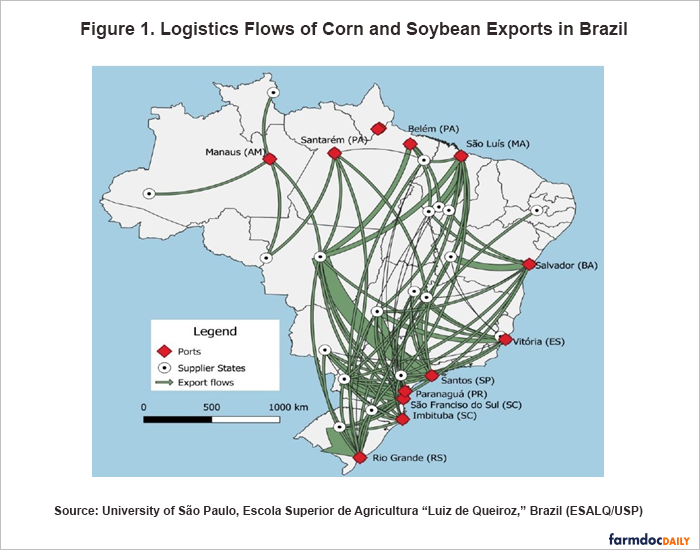 Investimentos no transporte brasileiro de grãos reduzem vantagem logística dos EUA • Agricultura Diária