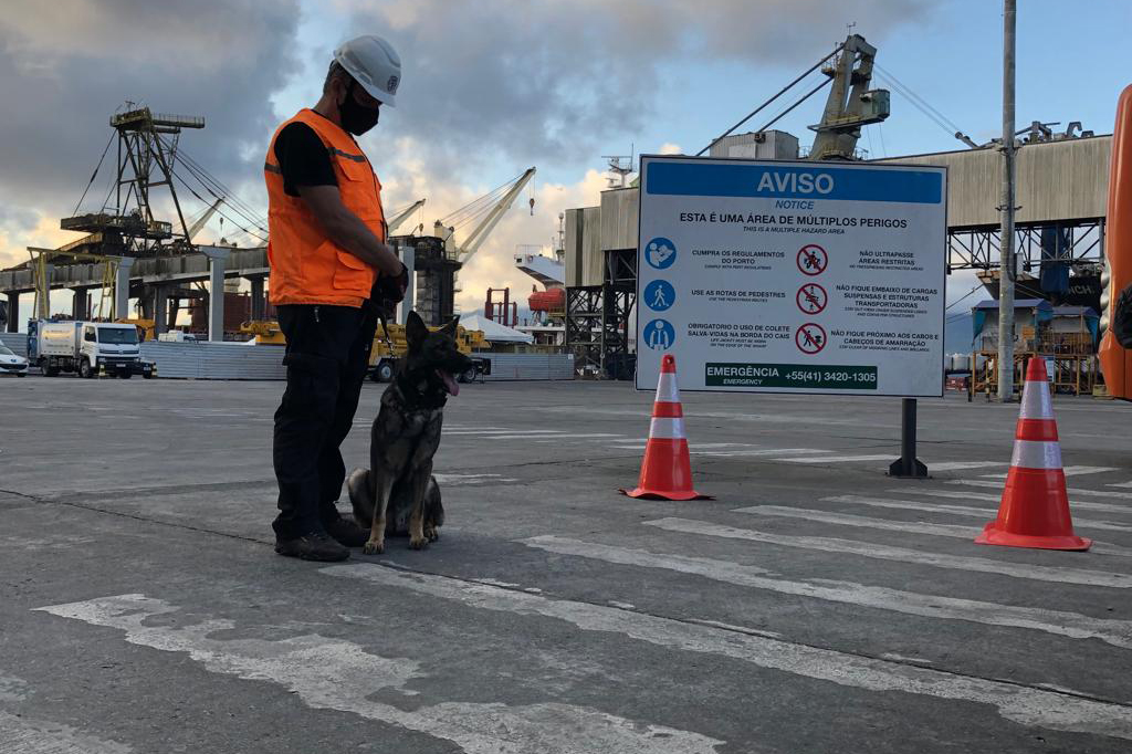 Portos do Paraná reforça segurança no transporte com inspeções com cães de faro