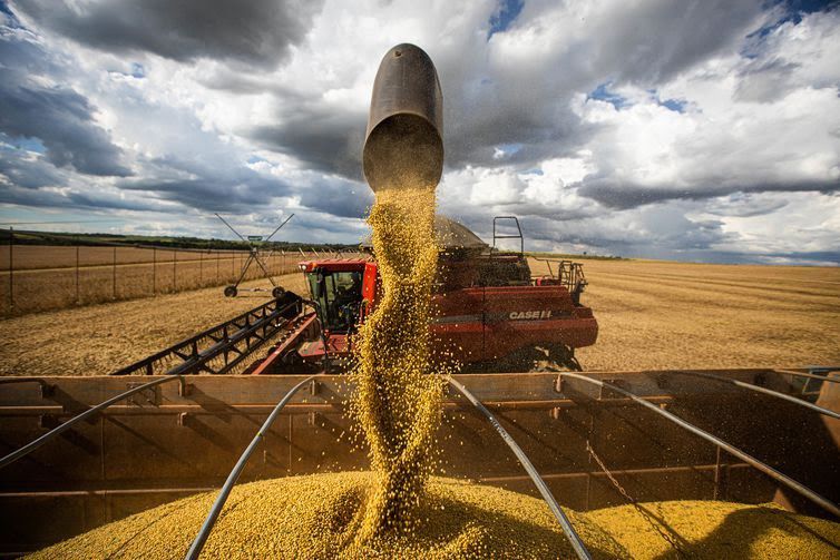 Agronegócio tem superávit de US$ 7,7 bilhões em janeiro deste ano 