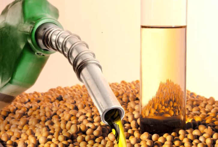 Biodiesel fabricado no Brasil é responsável por gerar aproximadamente 20 mil empregos diretos e fornecer mais de R$ 10 bilhões