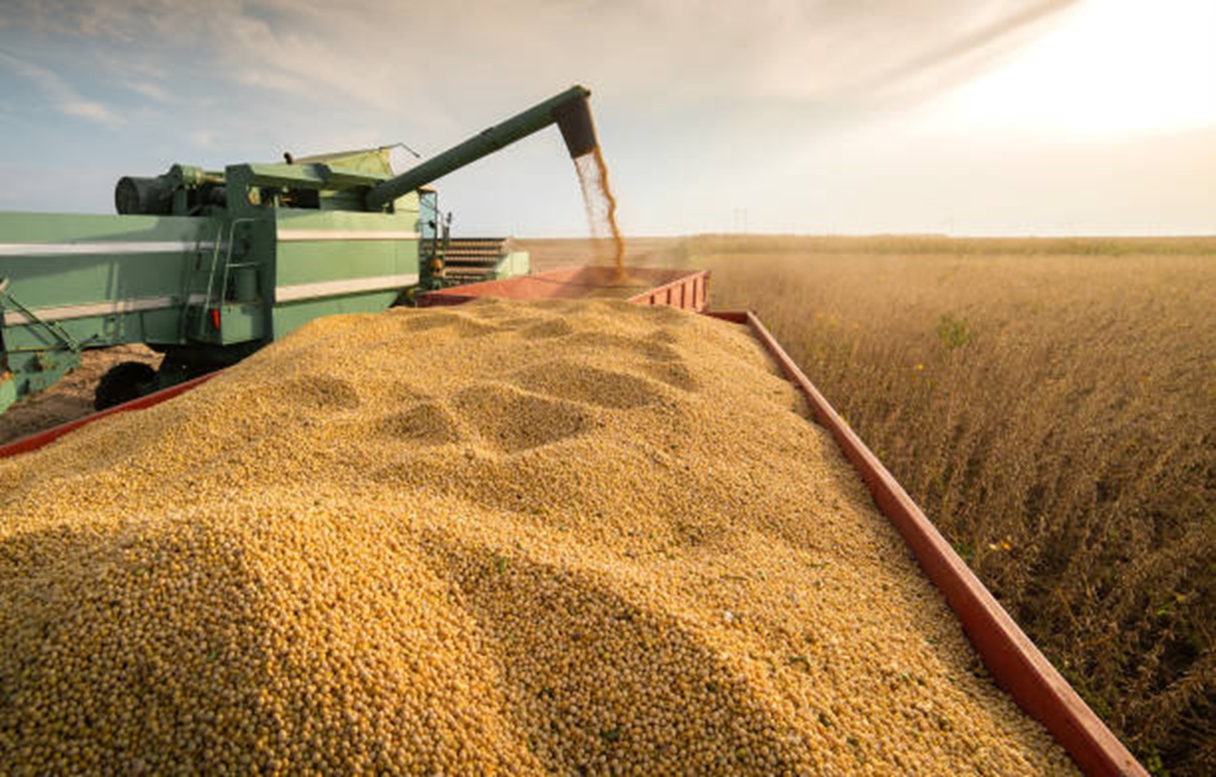 CNA prevê aumento de 2,5% do PIB do Agronegócio no Brasil