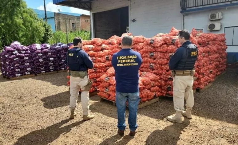 Agro: mais de 480 toneladas de produtos irregulares foram apreendidas no Paraná