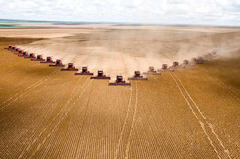 Agronegócio puxa alta de 1,9% do PIB no primeiro trimestre