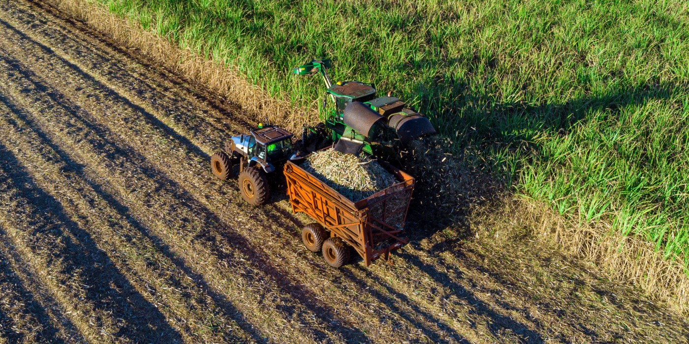Colheita do milho volta a avançar no Paraná e Deral relata altos e baixos de produtividades em diferentes regiões do estado