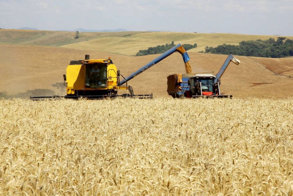 Cinco municípios do Oeste estão entre os 10 mais produtivos do Paraná
