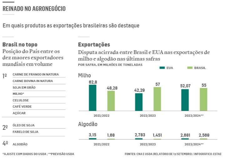 Brasil amplia liderança nas exportações do agronegócio, agora nas vendas de milho