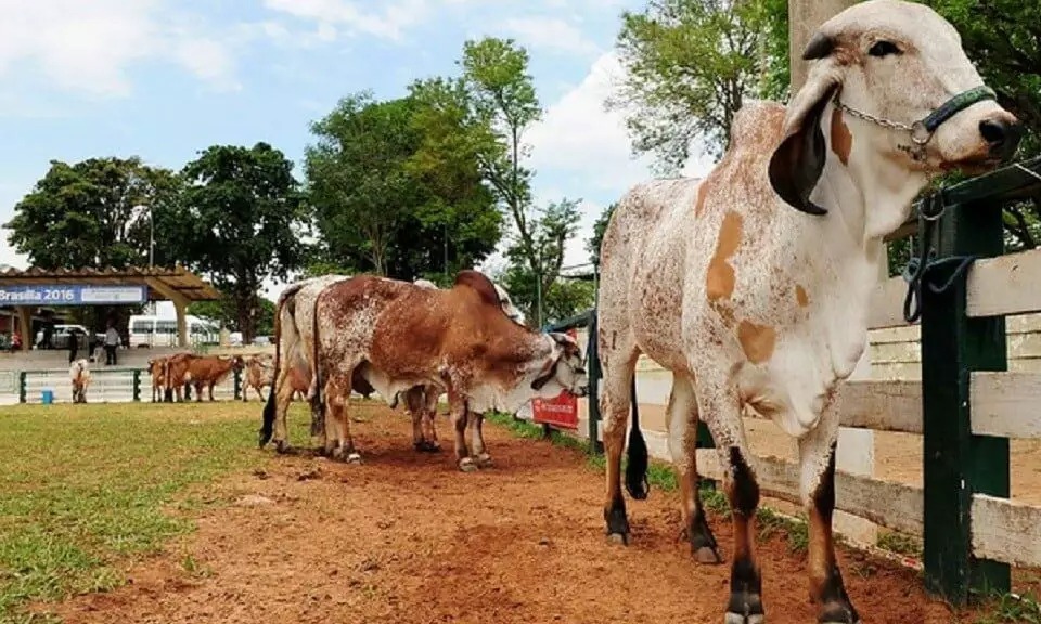 PIB do Paraná cresceu mais do que o nacional no primeiro semestre