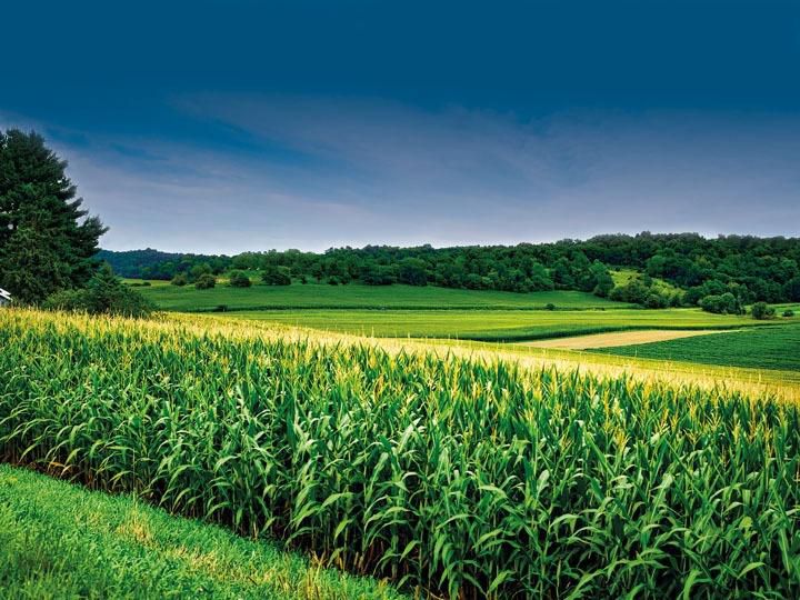 PIB do agro mantém alta modesta no 2º tri; avanço em 2023 é de 0,5%