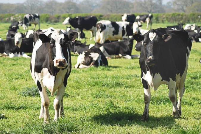 Agropecuária fica fora da lei de créditos de carbono