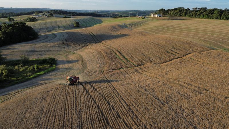 Deral reduz estimativas de safras de soja, milho e trigo do Paraná