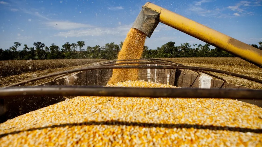 Deral aponta prejuízo de R$ 2,5 bilhões na agricultura do Paraná devido ao El Niño