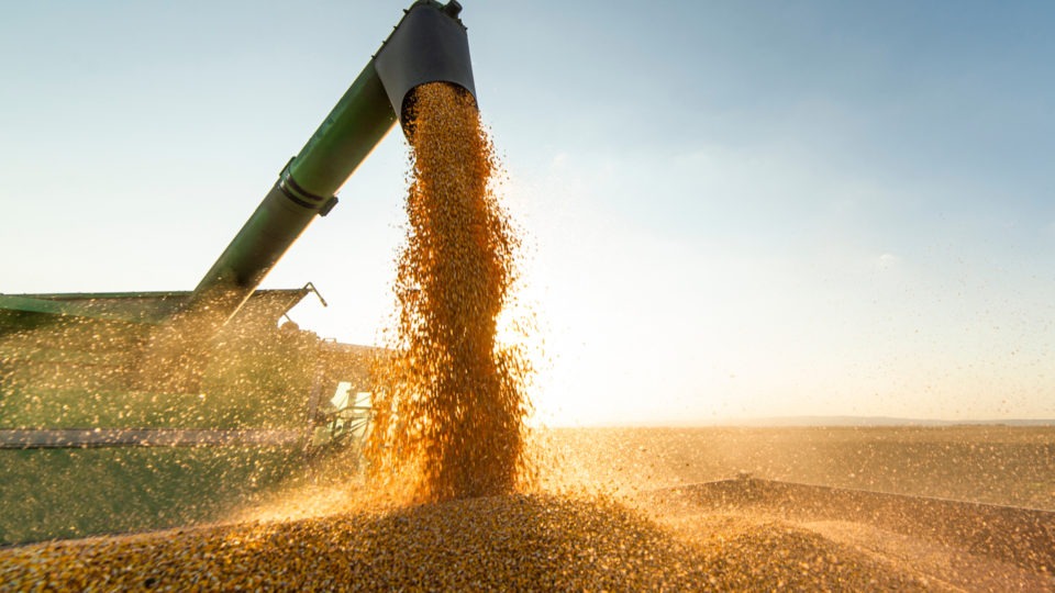 Brasil se transforma em “supermercado do mundo” com exportação de commodities