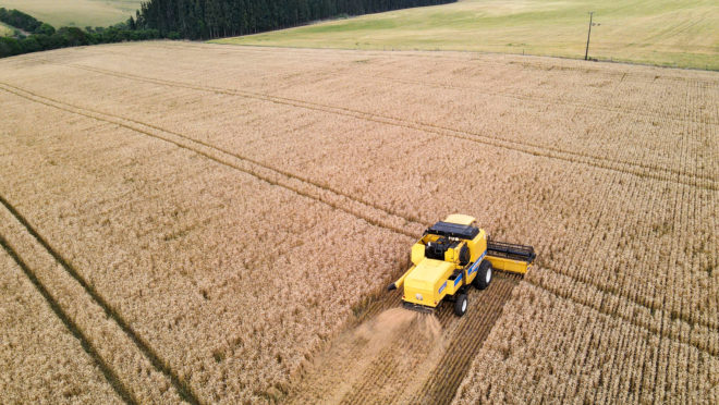 Agroindústria ajudou na distribuição do PIB no Paraná nos últimos 20 anos