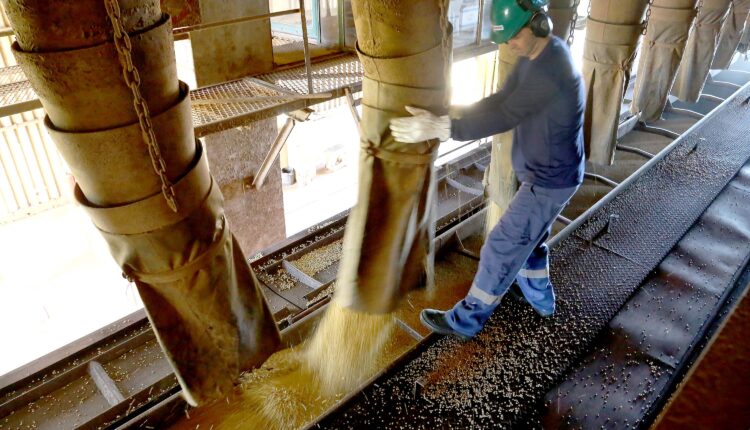 Exportações paranaenses crescem 13,7% em 2023, melhor desempenho do Sul e Sudeste