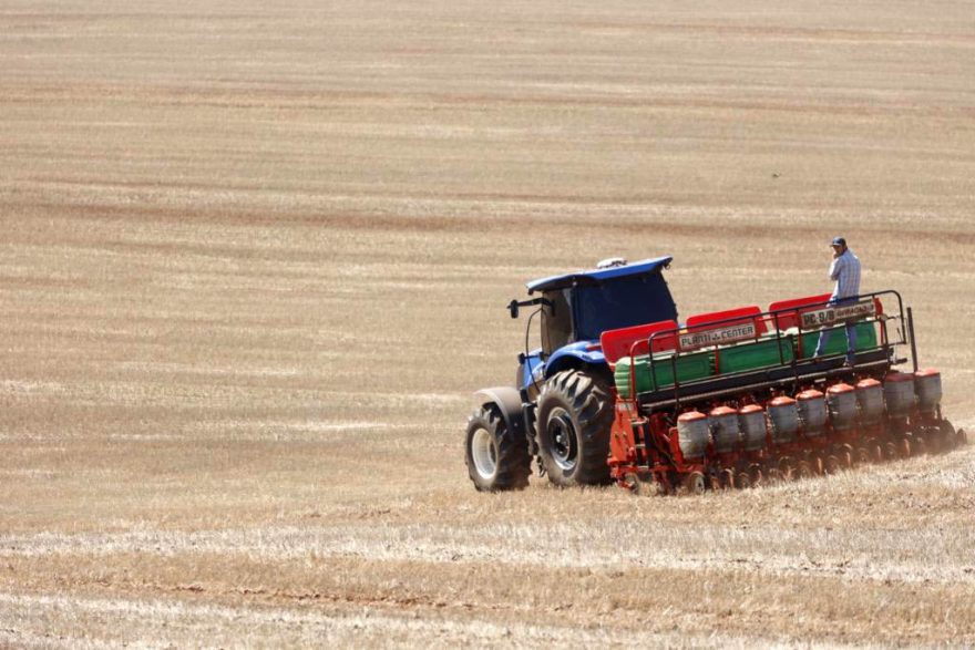 Paraná está entre os três maiores exportadores do agronegócio do país em janeiro