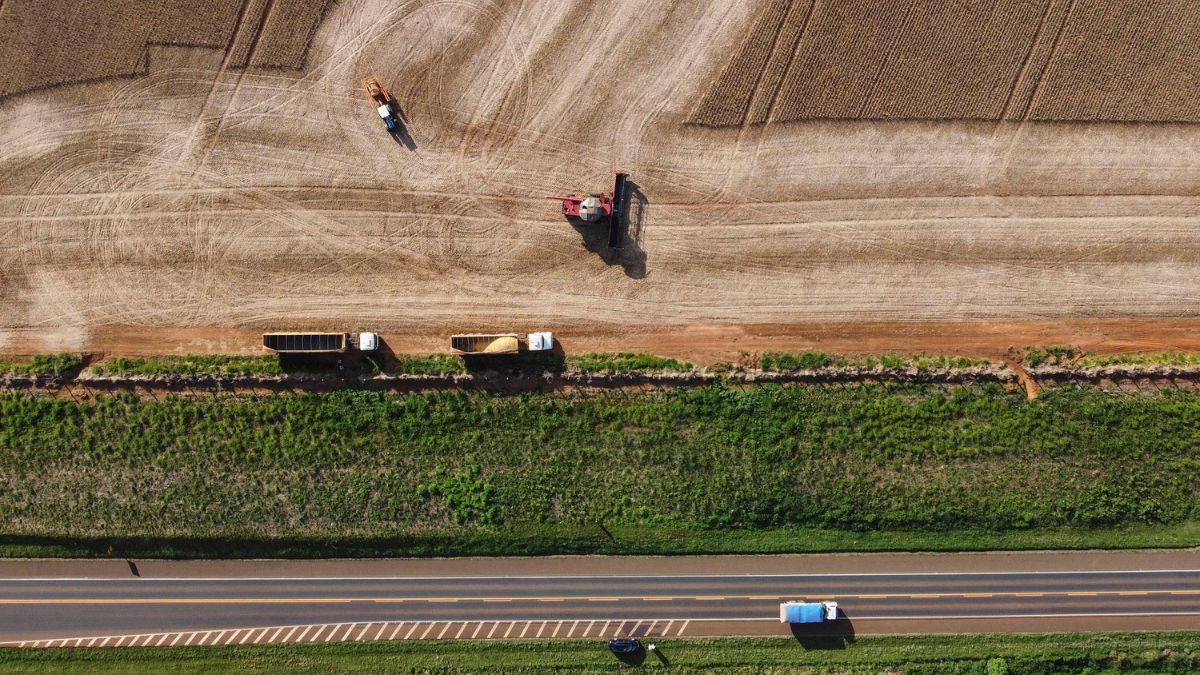 Economia do Paraná cresce 7,8% em 2023, diz BC