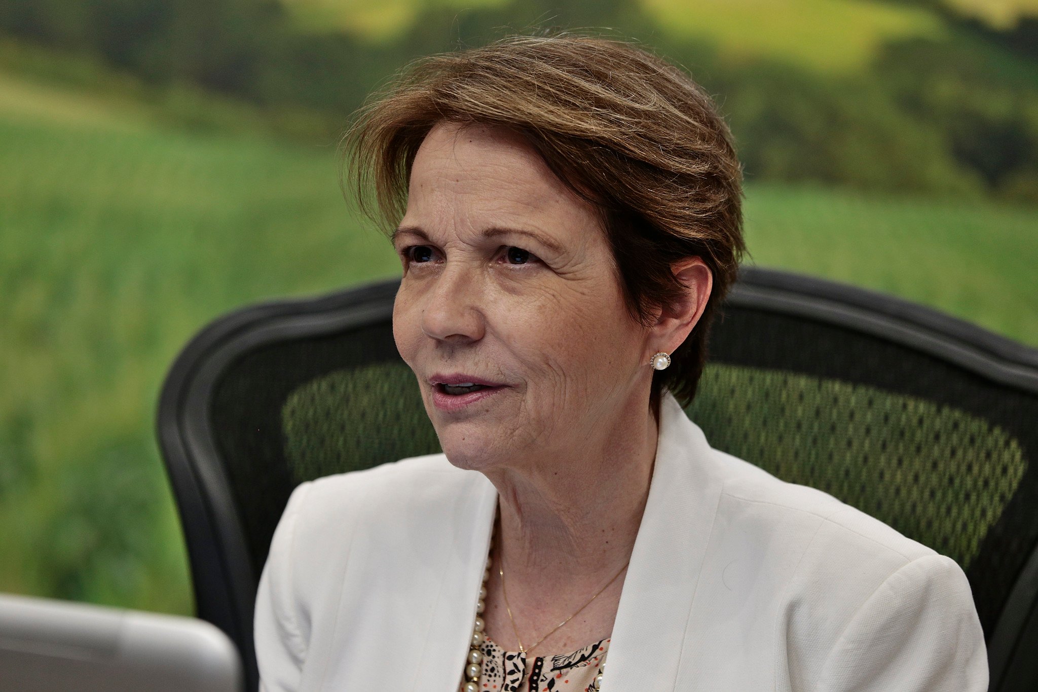 Ministra da Agricultura vê perdas severas no oeste do Paraná