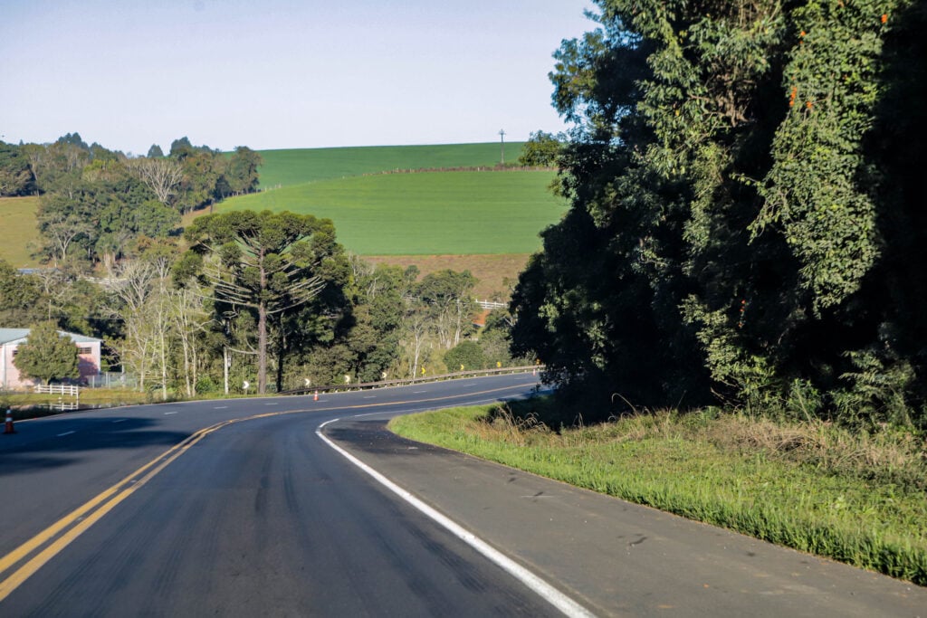 Leilão do lote 1 da concessão de rodovias do Paraná já tem data. Confira quando será